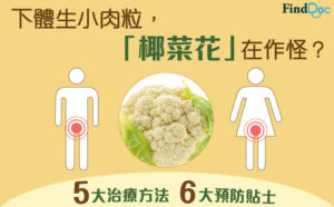 椰菜花(性病疣、生殖器疣)