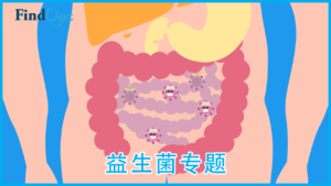 益生菌真的需要每天吃?